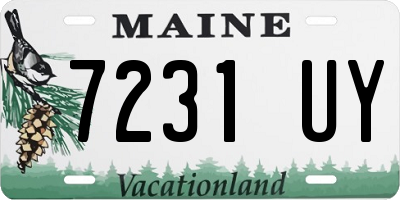 ME license plate 7231UY