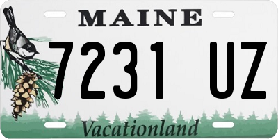 ME license plate 7231UZ