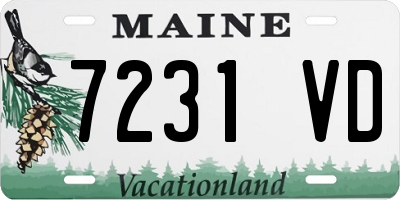 ME license plate 7231VD