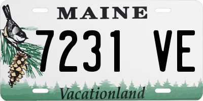 ME license plate 7231VE