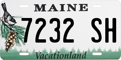 ME license plate 7232SH