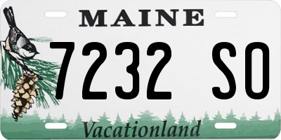 ME license plate 7232SO