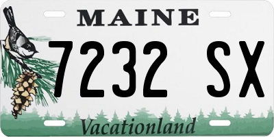 ME license plate 7232SX