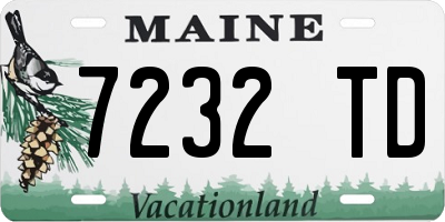 ME license plate 7232TD