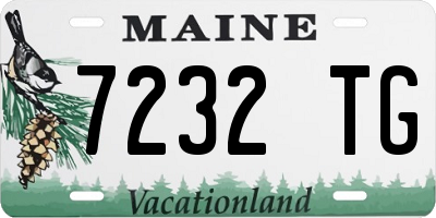 ME license plate 7232TG
