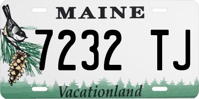 ME license plate 7232TJ