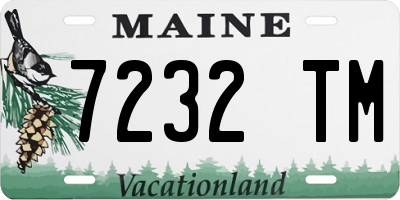 ME license plate 7232TM