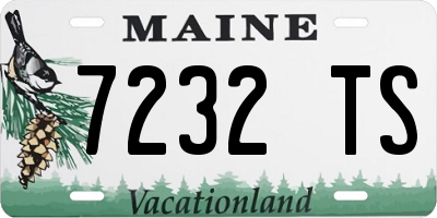 ME license plate 7232TS