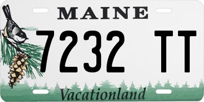 ME license plate 7232TT