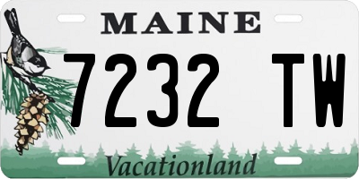 ME license plate 7232TW