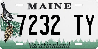 ME license plate 7232TY