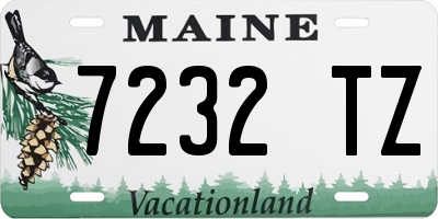 ME license plate 7232TZ