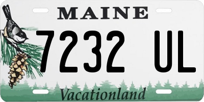 ME license plate 7232UL