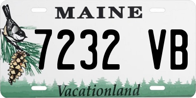 ME license plate 7232VB