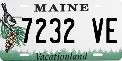 ME license plate 7232VE