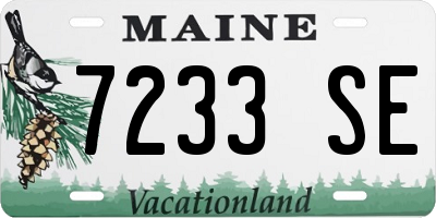 ME license plate 7233SE