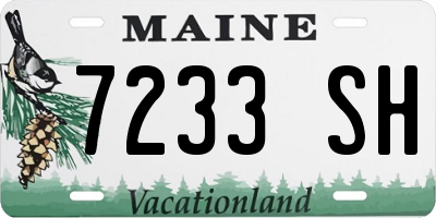 ME license plate 7233SH