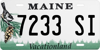 ME license plate 7233SI