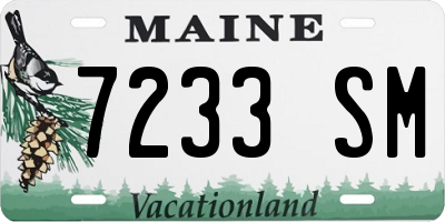 ME license plate 7233SM