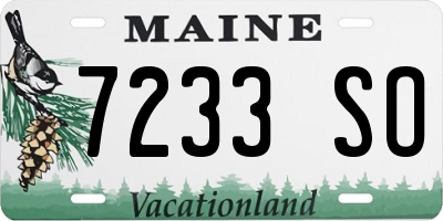 ME license plate 7233SO