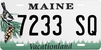 ME license plate 7233SQ