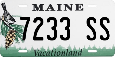 ME license plate 7233SS