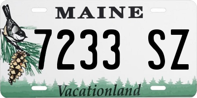 ME license plate 7233SZ