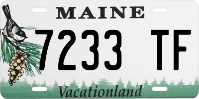 ME license plate 7233TF