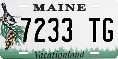 ME license plate 7233TG