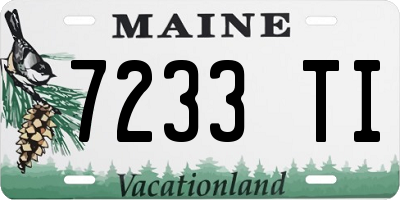 ME license plate 7233TI