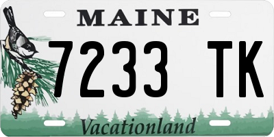 ME license plate 7233TK