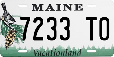 ME license plate 7233TO