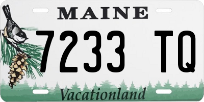 ME license plate 7233TQ