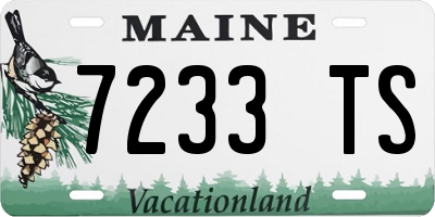 ME license plate 7233TS