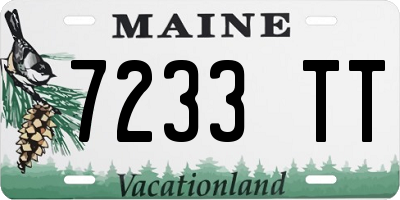 ME license plate 7233TT