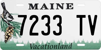 ME license plate 7233TV