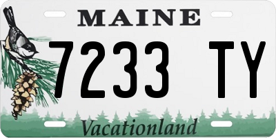 ME license plate 7233TY