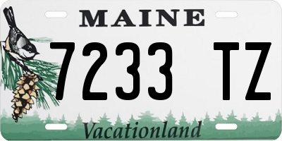 ME license plate 7233TZ