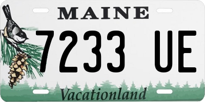 ME license plate 7233UE