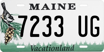 ME license plate 7233UG