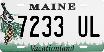 ME license plate 7233UL