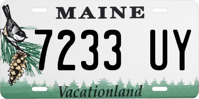 ME license plate 7233UY