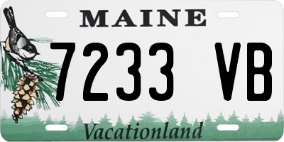 ME license plate 7233VB