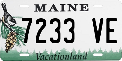 ME license plate 7233VE