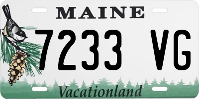 ME license plate 7233VG