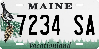 ME license plate 7234SA