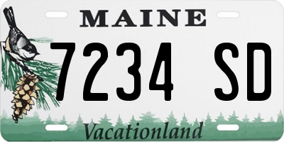 ME license plate 7234SD