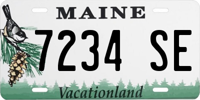 ME license plate 7234SE