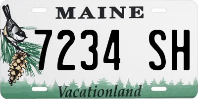 ME license plate 7234SH