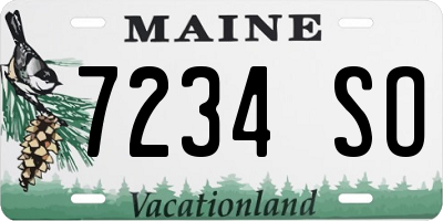 ME license plate 7234SO